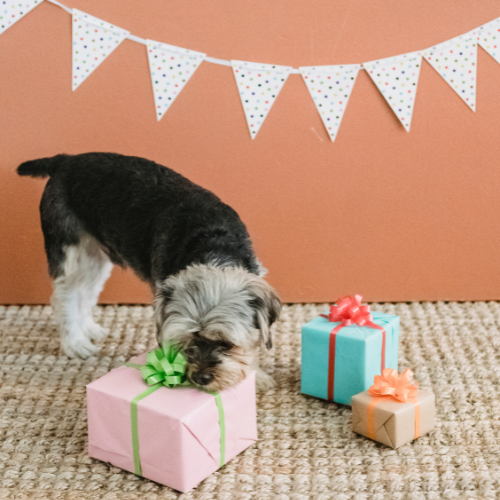 Dog Gifts and Accessories