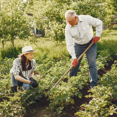 Gifts for Gardeners